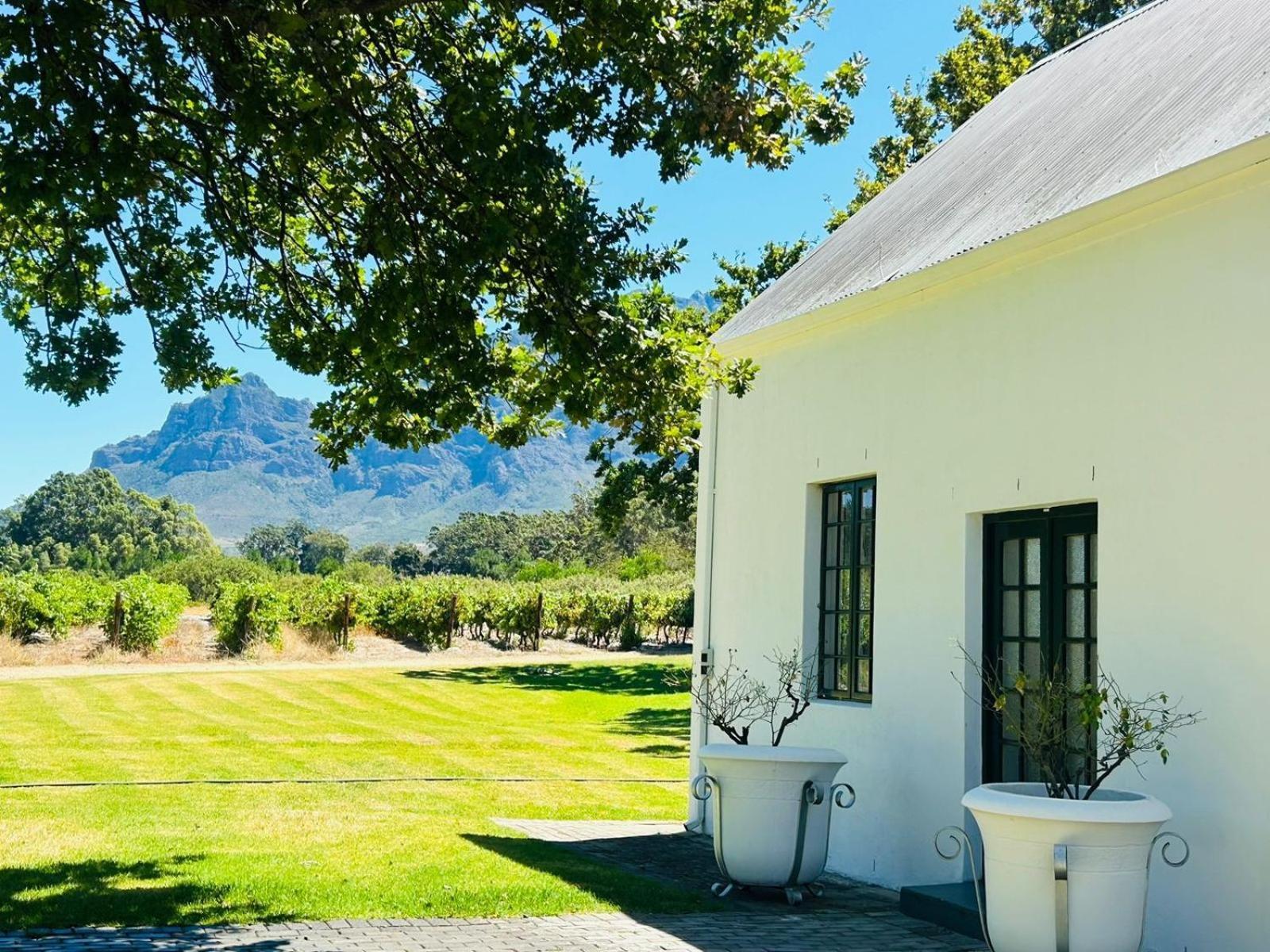 Allee Bleue Wine Estate Simondium Exterior foto